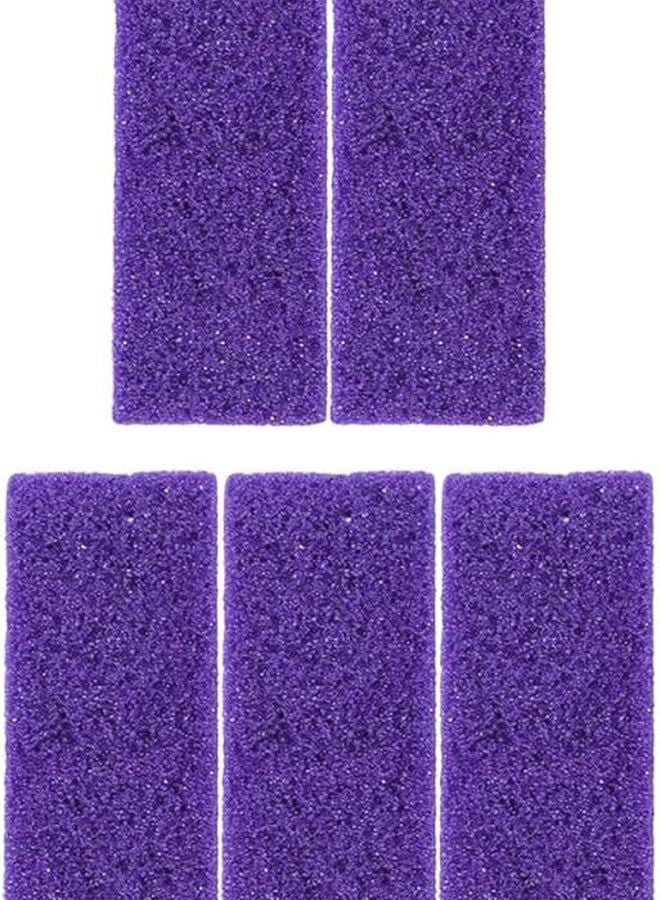 5Pcs Volcanic Stone Foot File Callus Remover Pedicure Tool Dead Skin Exfoliator - Image 1